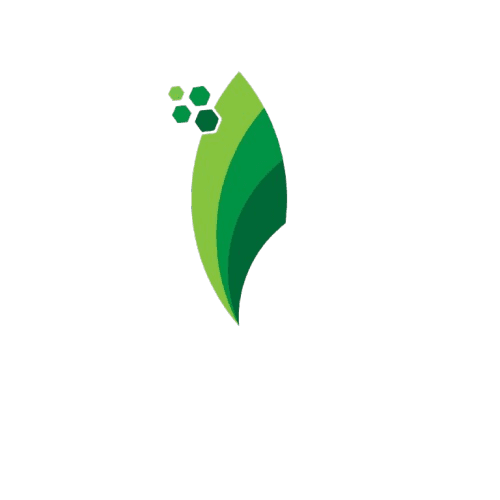 Soléos Énergies